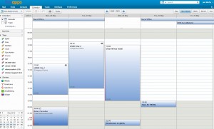 Shared Calendars